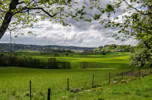 Foto grátis paisagem de um campo coberto de vegetação sob um céu nublado durante o dia