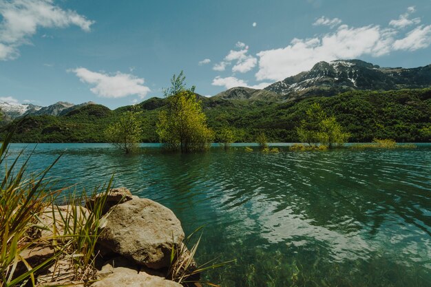 Paisagem, de, um, lago, cercado, por, montanhas