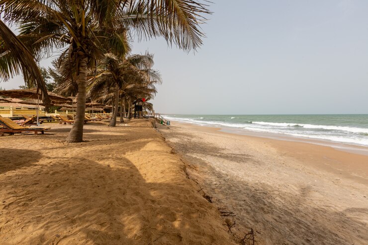 Foto grátis paisagem de um resort de praia rodeado por palmeiras e o mar sob um céu azul na gâmbia