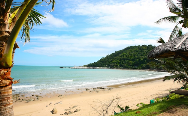 Foto grátis paisagem de uma costa