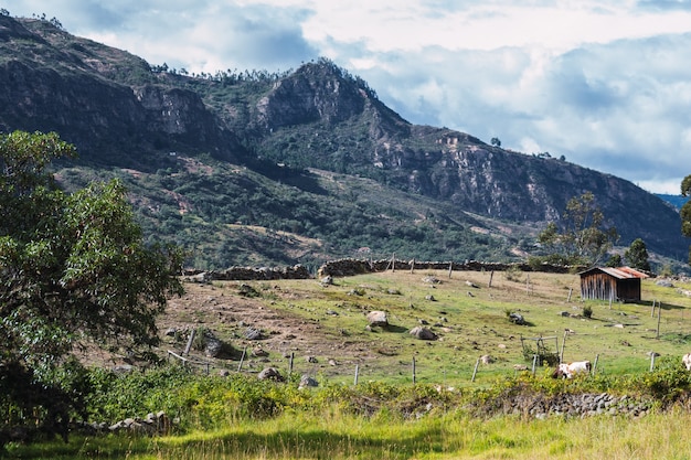 Foto grátis paisagem de uma montanha