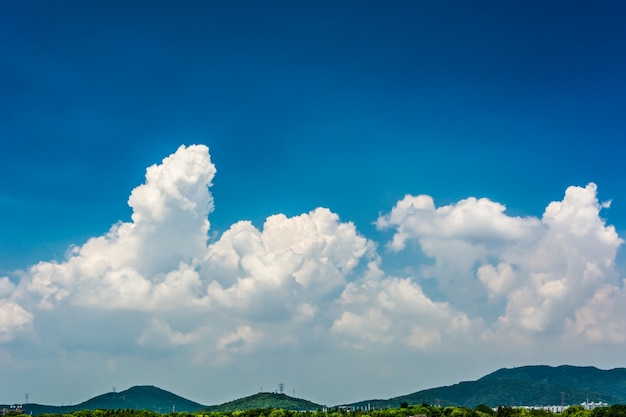 Paisagem de verão com lago em dia ensolarado