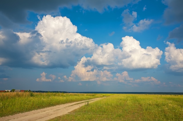 Paisagem de verão