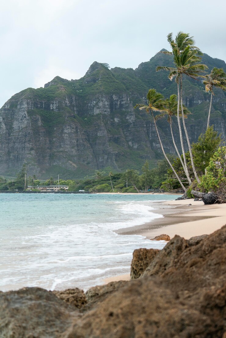 Foto grátis paisagem deslumbrante do havaí com a praia
