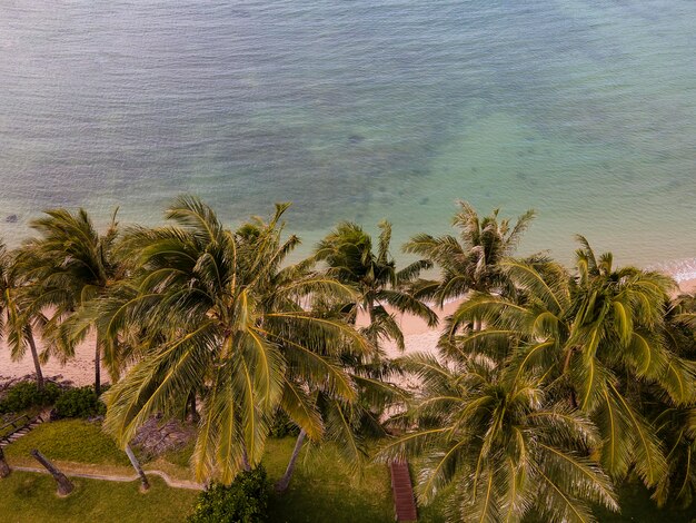 Paisagem deslumbrante do Havaí com o mar azul