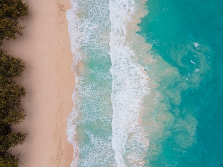 Foto grátis paisagem deslumbrante do havaí com oceano