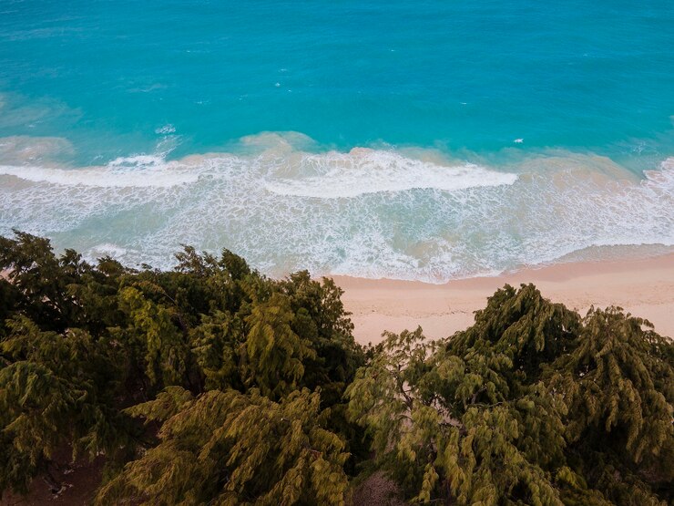 Foto grátis paisagem deslumbrante do havaí com oceano