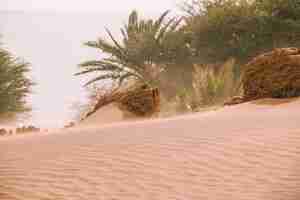 Foto grátis paisagem do deserto em marrocos