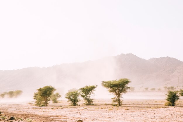 Paisagem do deserto