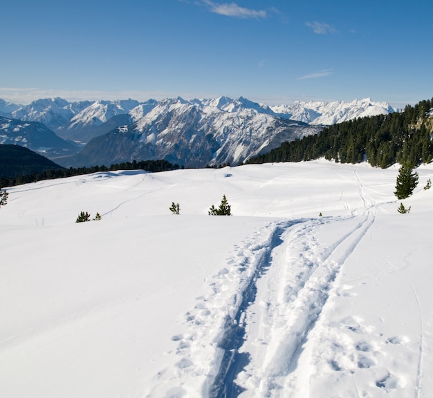 Paisagem do inverno com pistas de esqui