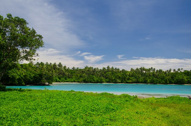 Paisagem do mar cercada por vegetação sob um céu azul nublado na Ilha Savai'i, Samoa