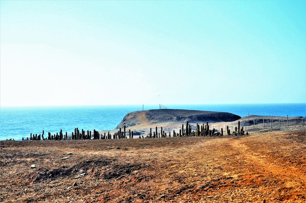 Paisagem ensolarada e praia