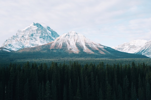 Paisagem montanhosa de tirar o fôlego com árvores na frente