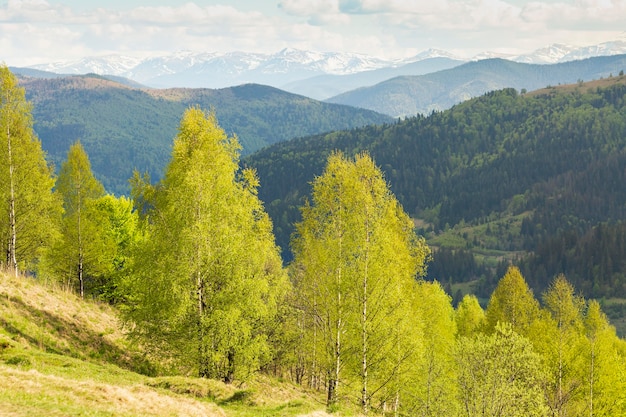 Paisagem pacífica e bela à luz do dia