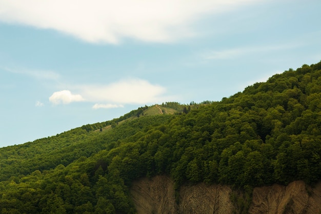 Paisagem pacífica e bela à luz do dia