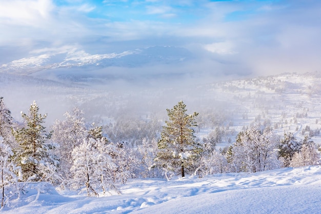 Paisagem pitoresca de inverno em Stryn, Noruega