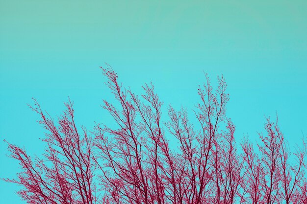 Paisagem pop brilhante e colorida