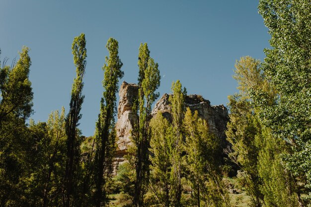 Paisagem rochosa ensolarada com vegetação