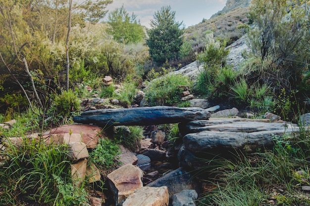 Paisagem rochosa