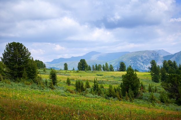 Paisagem simples das montanhas