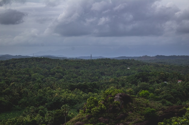 Foto grátis paisagem verdejante