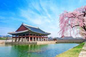 Foto grátis palácio gyeongbokgung com flor de cerejeira na primavera, coreia do sul.