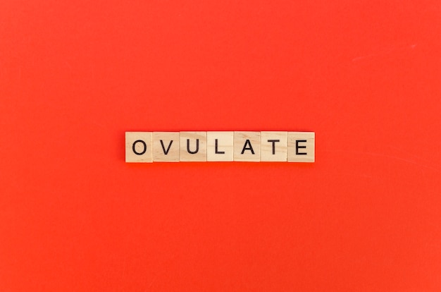 Palavra ovulada com letras de scrabble em fundo vermelho