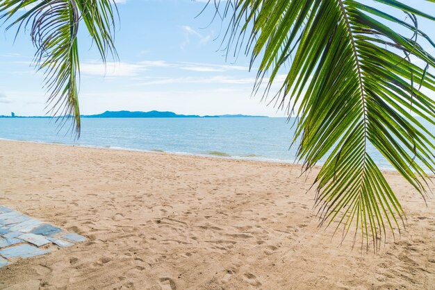 Palm e praia tropical em Pattaya na Tailândia