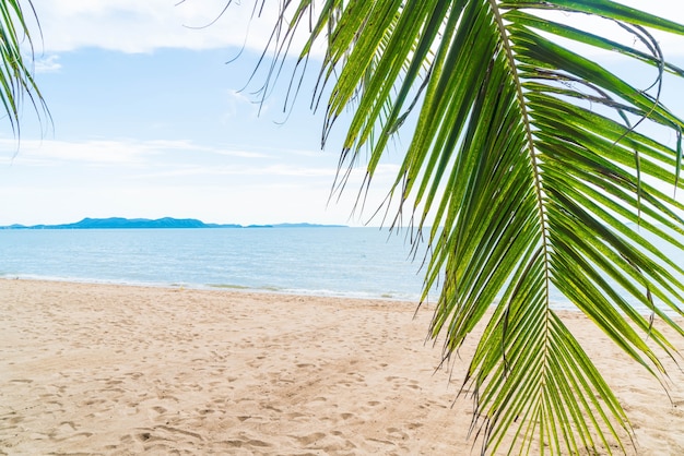 Palm e praia tropical em Pattaya na Tailândia