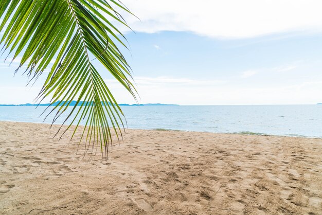 Palm e praia tropical em Pattaya na Tailândia