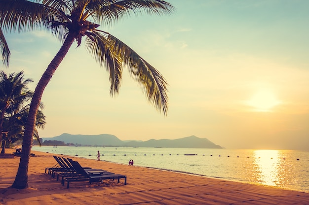 palma bonita costa ensolarado férias