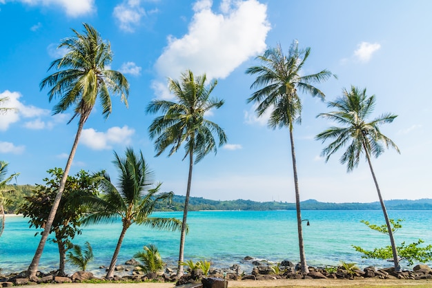 Palmeira de coco na praia e mar