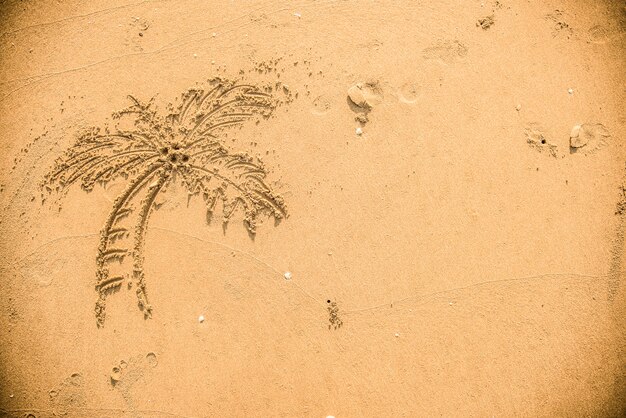 Palmeira desenhada na areia