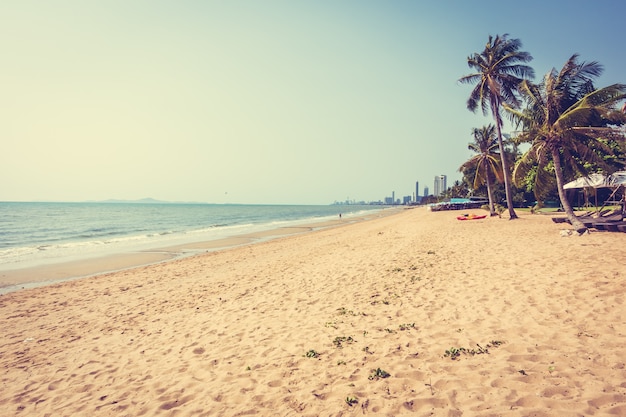 Foto grátis palmeira na praia