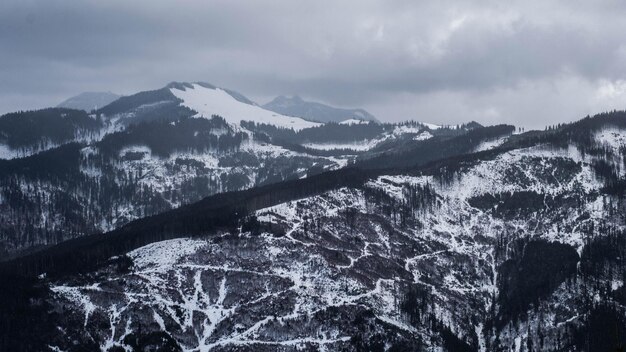 Panorama de inverno de pico de montanha coberto de neve