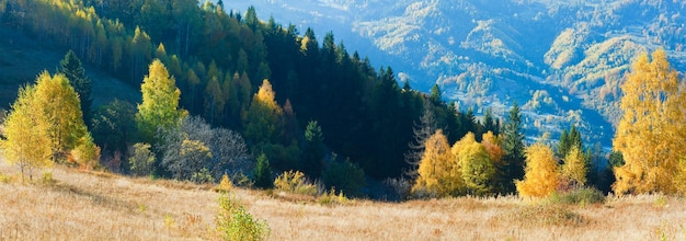 Panorama de montanha de outono (cárpatos, ucrânia) e árvores coloridas na colina. imagem composta de dois tiros.