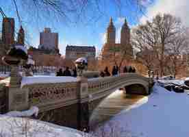 Foto grátis panorama de nova york manhattan central park no inverno