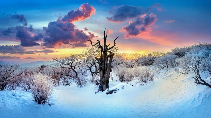 Foto grátis panorâmica das montanhas deogyusan no inverno, coreia do sul.