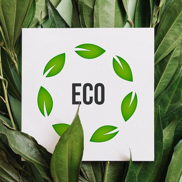 Foto grátis papel com mensagem ecológica