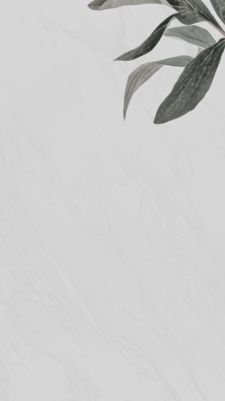 Foto grátis papel de parede de fundo de folhas verdes