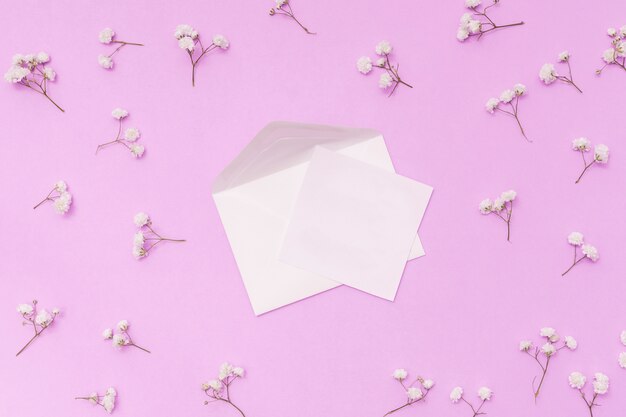 Papel em branco com ramos de envelope e flor