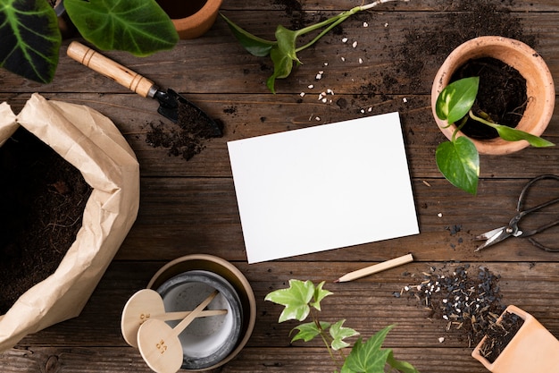 Papel em branco no fundo de jardinagem de planta de casa