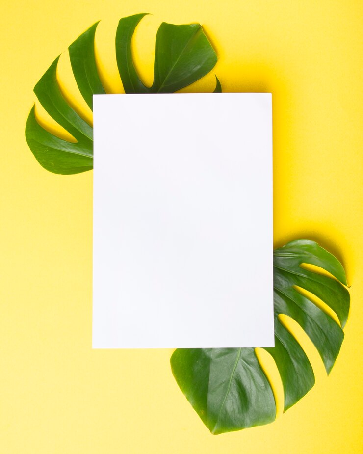 Foto grátis papel em branco sobre o verde de monstera deixa em fundo amarelo