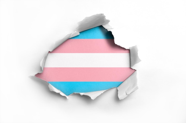 Papel rasgado com bandeira transexual