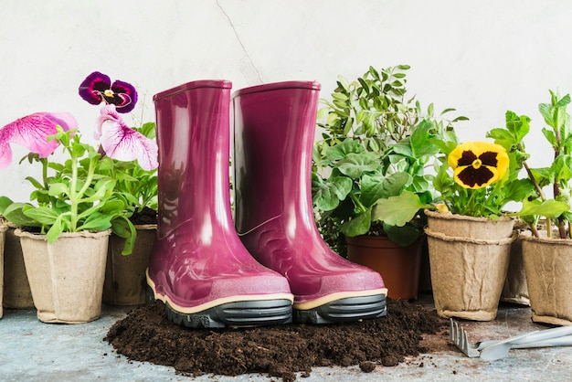 Par roxo de bota de borracha no solo com plantas em vasos de turfa