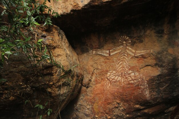 parede de pedra