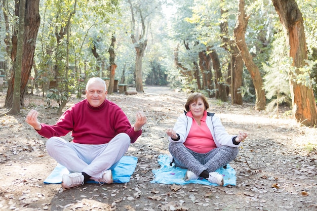 Pares sênior que fazem yoga juntos no parque