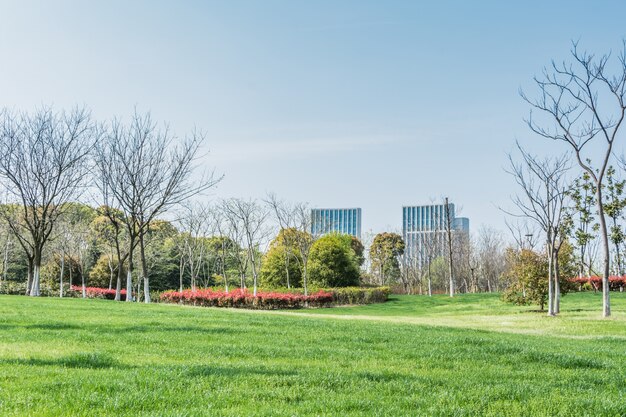 Parque com uma cidade atrás