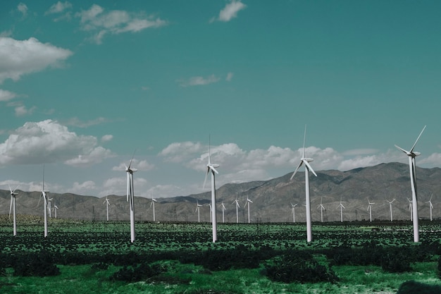 Foto grátis parque eólico para energia sustentável e renovável