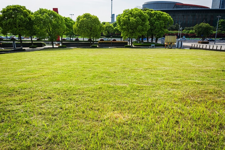 Foto grátis parque no centro financeiro de lujiazui, xangai, china